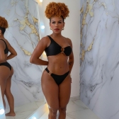 Biquíni Fox Tendência Moda Verão 2026 - Preto